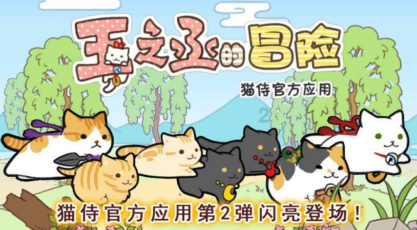 诱捕小浣熊